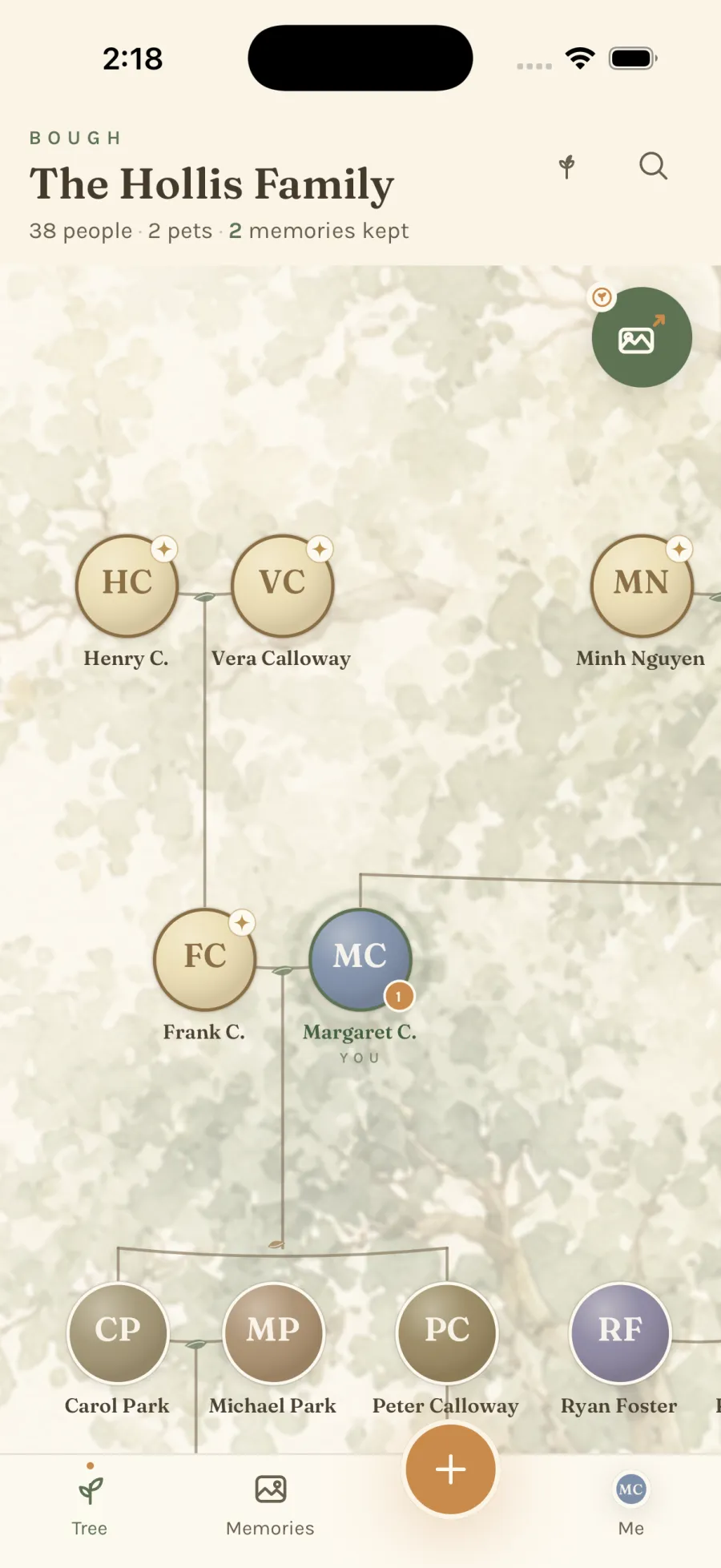 The family tree.